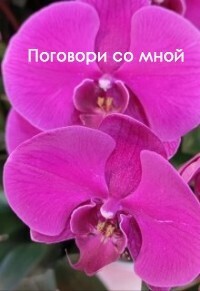 Поговори со мной - Виолетта Елисеева