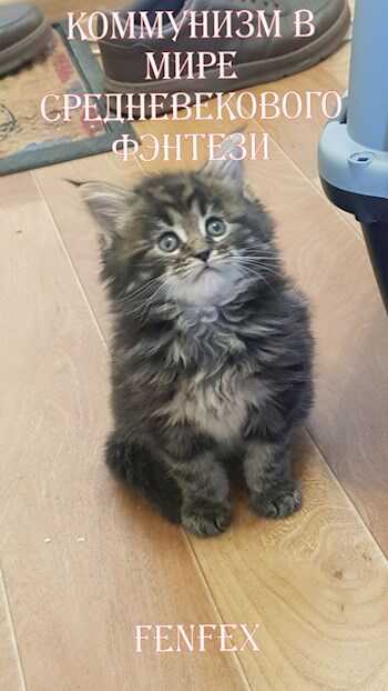Коммунизм в мире средневекового фэнтези - Fenfex