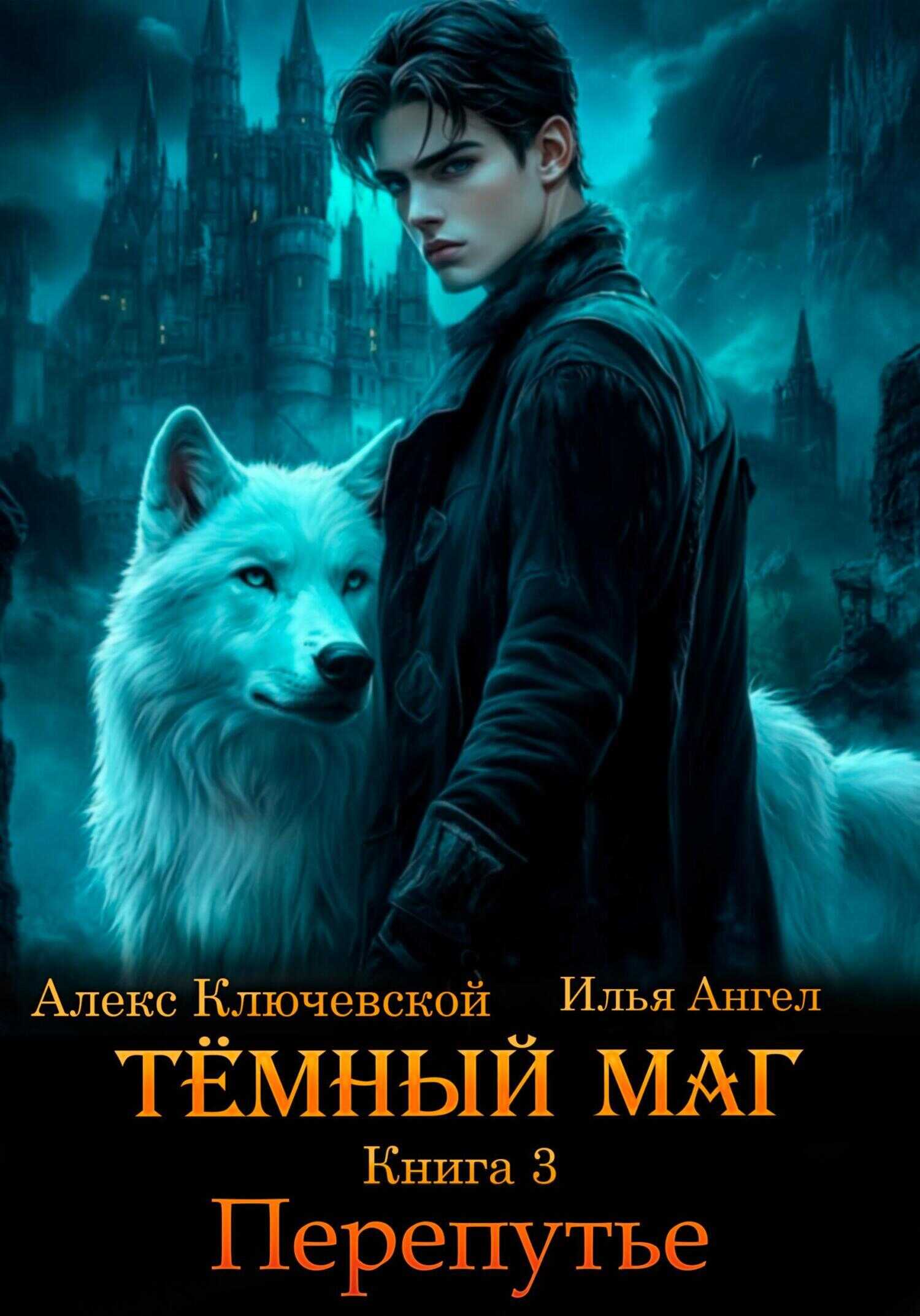 Тёмный маг. Книга 3. Перепутье - Илья Ангел