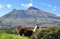 Тучи сгущаются - Лориана Рава