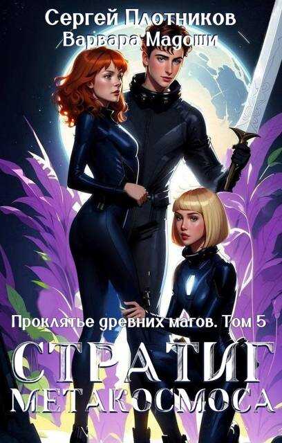 Стратиг метакосмоса - Сергей Александрович Плотников