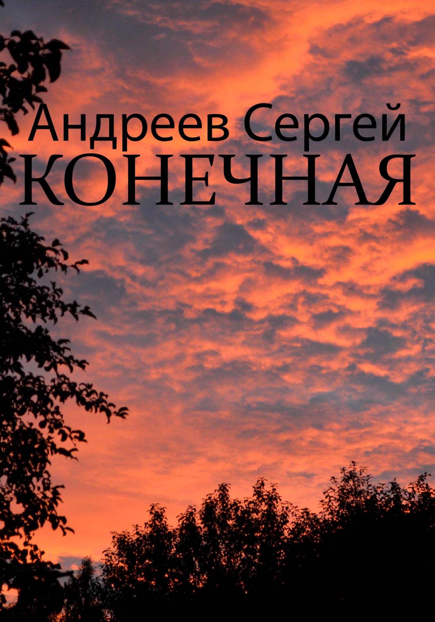 Конечная - Сергей Андреевич Андреев