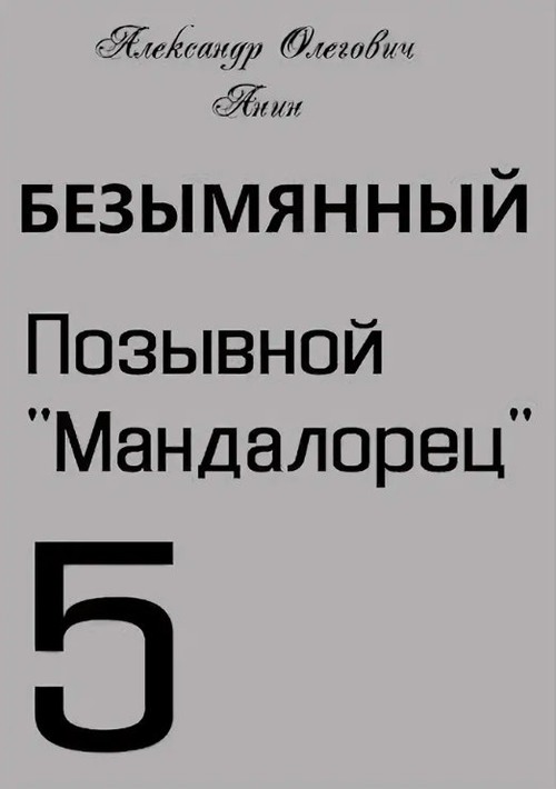 Позывной «Мандалорец» - Александр Олегович Анин