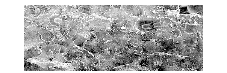 Вторая симфония Малера - Евгений Владимирович Сапожинский