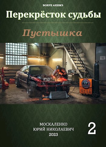 Перекресток судьбы. Пустышка. Книга вторая - Юрий Николаевич Москаленко